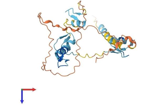 OVOL1 Protein (AA 1-267) (His tag)