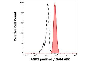 Separation of K562 cells (red-filled) from human leukocytes (black-dashed) in flow cytometry analysis (intracellular staining) of human peripheral whole blood spiked with K562 cells stained using anti-AGPS (AGPS-03) purified antibody (concentration in sample 5 μg/mL, GAM APC). (AGPS Antikörper  (AA 158-384))