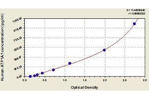 Typical standard curve (ATP1A1 ELISA Kit)