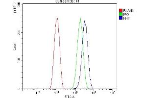 Flow Cytometry analysis of U20S cells using anti-FHIT antibody (ABIN3042392).