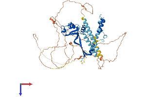 CSRNP2 Protein (AA 1-534) (His tag)