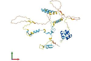 Protein Structure (PS) image for erythrocyte Membrane Protein Band 4.9 (Dematin) (EPB49) (AA 1-405) protein (His tag) (ABIN7553653)