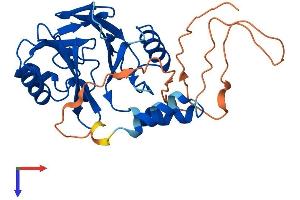 HAGHL Protein (AA 1-290) (His tag)