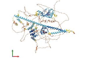 AlphaFold protein structure predicition of Mouse Recombinant Camta2 Protein, UniprotID Q80Y50