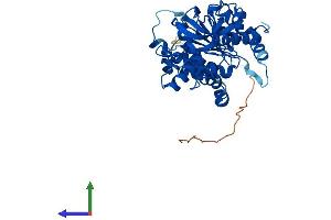 Protein Structure (PS) image for Lactate Dehydrogenase A-Like 6B (LDHAL6B) (AA 1-381) protein (His tag) (ABIN7548919)