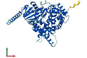 Protein Structure (PS) image for Cytochrome P450, Family 46, Subfamily A, Polypeptide 1 (CYP46A1) (AA 1-500) protein (His tag) (ABIN7556326)