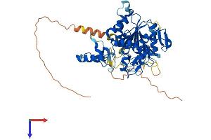 ZCCHC4 Protein (AA 1-513) (His tag)