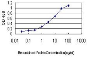 ELISA image for anti-Protoporphyrinogen Oxidase (PPOX) (AA 378-477) antibody (ABIN562343)