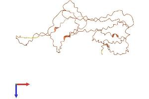 AlphaFold protein structure predicition of Human Recombinant KRTAP10-9 Protein, UniprotID P60411