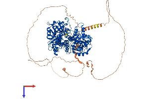 LIG1 Protein (AA 1-919) (His tag)