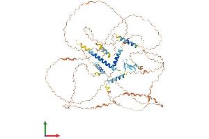 Protein Structure (PS) image for Holliday Junction Recognition Protein (HJURP) (AA 1-748) protein (His tag) (ABIN7554121)