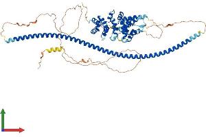 Protein Structure (PS) image for Coiled-Coil Domain Containing 138 (CCDC138) (AA 1-665) protein (His tag) (ABIN7553140)