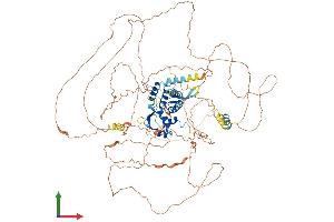 Protein Structure (PS) image for E2F Transcription Factor 7 (E2F7) (AA 1-911) protein (His tag) (ABIN7553736)