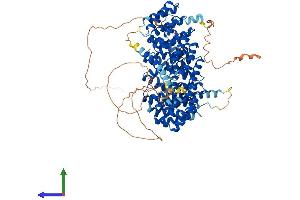 Protein Structure (PS) image for Protein Phosphatase 4, Regulatory Subunit 4 (PPP4R4) (AA 1-873) protein (His tag) (ABIN7550933)