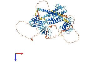 ARHGEF6 Protein (AA 1-771) (His tag)