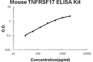 Mouse TNFRSF17/BCMA Accusignal ELISA Kit Mouse TNFRSF17/BCMA AccuSignal ELISA Kit standard curve.