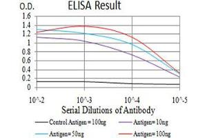 Black line: Control Antigen (100 ng);Purple line: Antigen (10ng); Blue line: Antigen (50 ng); Red line:Antigen (100 ng) (C1QA Antikörper  (AA 23-167))