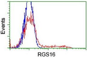HEK293T cells transfected with either RC202430 overexpress plasmid (Red) or empty vector control plasmid (Blue) were immunostained by anti-RGS16 antibody (ABIN2455310), and then analyzed by flow cytometry. (RGS16 Antikörper)