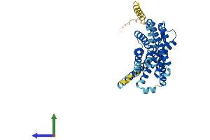 Protein Structure (PS) image for G Protein-Coupled Receptor 183 (GPR183) (AA 1-361) protein (His tag) (ABIN7554019)