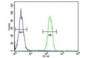 ARG1 antibody flow cytometric analysis of MDA-MB231 cells (green) compared to a negative control (blue).