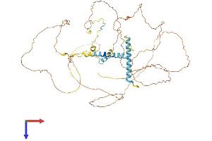 MTDH Protein (AA 1-579) (His tag)