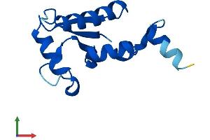 Protein Structure (PS) image for SH3 Domain Binding Glutamic Acid-Rich Protein Like (SH3BGRL) (AA 1-114) protein (His tag) (ABIN7545999)