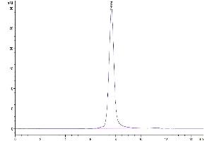 Size-exclusion chromatography-High Pressure Liquid Chromatography (SEC-HPLC) image for Tumor Necrosis Factor (Ligand) Superfamily, Member 8 (TNFSF8) (AA 63-234) protein (mFc Tag) (ABIN7274156)