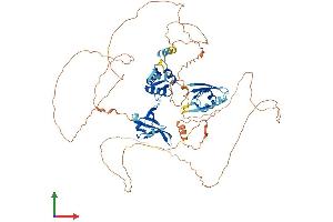 Protein Structure (PS) image for Dishevelled, Dsh Homolog 3 (Drosophila) (DVL3) (AA 1-716) protein (His tag) (ABIN7557655)