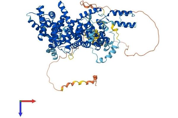 STRIP1 Protein (AA 1-837) (His tag)