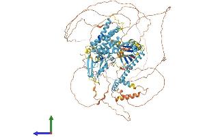 Protein Structure (PS) image for Connector Enhancer of Kinase Suppressor of Ras 2 (CNKSR2) (AA 1-1034) protein (His tag) (ABIN7553526)