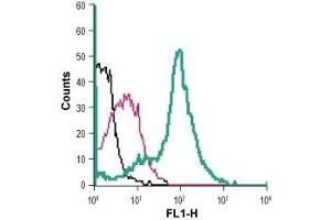 Flow Cytometry (FACS) image for anti-Solute Carrier Family 7, (Cationic Amino Acid Transporter, Y+ System) Member 11 (SLC7A11) (AA 218-231), (Extracellular) antibody (FITC) (ABIN7043752)