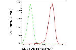 Flow cytometric analysis of CLIC1 expression in HAP-1 cells using CLIC1 antibody (ABIN7798050), 1:2,000). (Rekombinanter CLIC1 Antikörper)