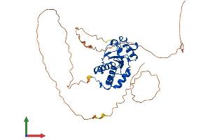 Protein Structure (PS) image for Dual Specificity Phosphatase 11 (RNA/RNP Complex 1-Interacting) (DUSP11) (AA 1-330) protein (His tag) (ABIN7547278)
