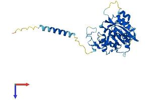 B3GALNT1 Protein (AA 1-331) (His tag)