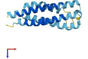 CNIH Protein (AA 1-144) (His tag)
