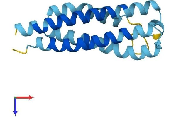 CNIH Protein (AA 1-144) (His tag)