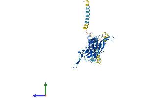 Protein Structure (PS) image for Potassium Inwardly-Rectifying Channel, Subfamily J, Member 1 (KCNJ1) (AA 1-391) protein (His tag) (ABIN7554299)