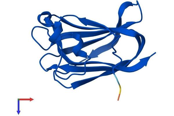 NR2C2AP Protein (AA 1-139) (His tag)