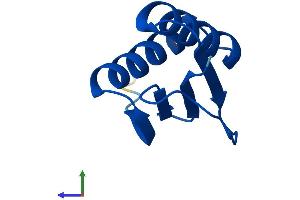 Protein Structure (PS) image for Dynein, Light Chain, LC8-Type 2 (DYNLL2) (AA 1-89) protein (His tag) (ABIN7560843)