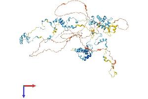 AlphaFold protein structure predicition of Human Recombinant EFHB Protein, UniprotID Q8N7U6