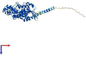 GNA13 Protein (AA 1-377) (His tag)