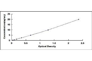 Typical standard curve (Fibrillin 1 ELISA Kit)