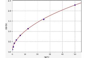 Lactate Dehydrogenase A (LDHA) ELISA Kit
