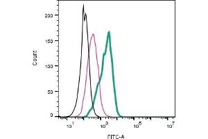 Cell surface detection of NrCAM by direct flow cytometry in live intact human  megakaryoblastic leukemia cells: + Rabbit IgG Isotype Control-FITC (ABIN7582044).