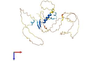 VGLL3 Protein (AA 1-326) (His tag)