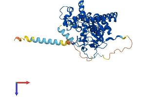 GAL3ST1 Protein (AA 1-423) (His tag)