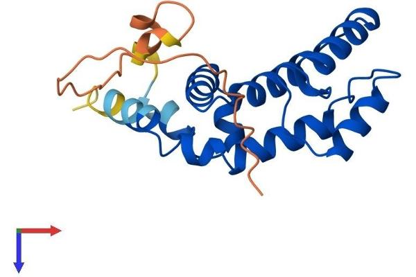 RGS8 Protein (AA 1-180) (His tag)
