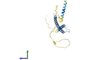 Protein Structure (PS) image for MAX Interactor 1 (MXI1) (AA 1-228) protein (His tag) (ABIN7563365)