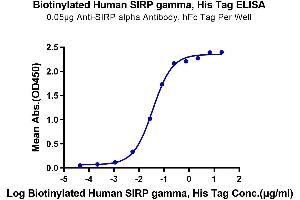 Immobilized Anti-SIRP alpha Antibody, hFc Tag at 0. (SIRPG Protein (AA 29-360) (His-Avi Tag,Biotin))