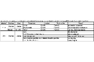 Image no. 1 for anti-V-Akt Murine Thymoma Viral Oncogene Homolog 1 (AKT1) (pSer473) antibody (ABIN967668) (AKT1 Antikörper  (pSer473))